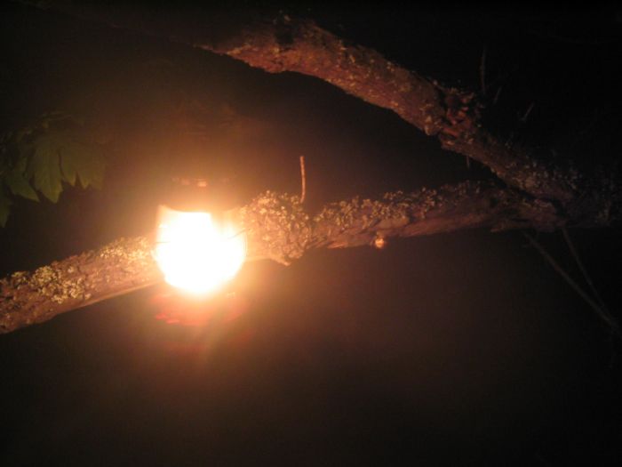 gal/2006-05-05 Careening/IMG_3166.jpg